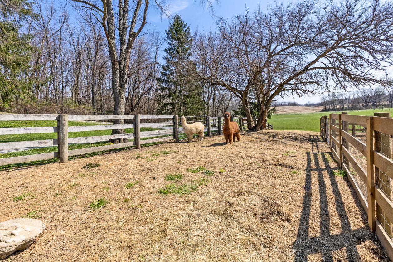 THE HEARTLAND COUNTRY RESORT IS NOW FOR SALE! - photo 21