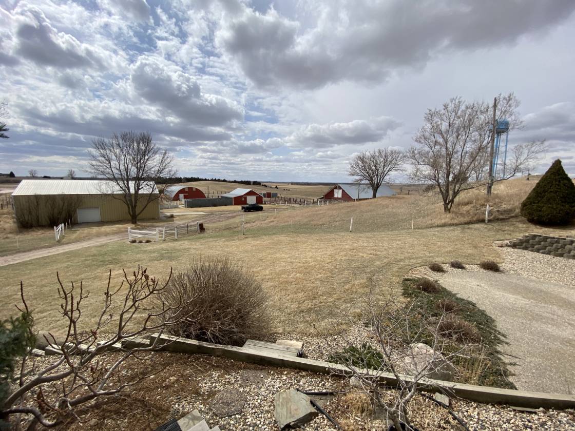 Horse Property for sale.