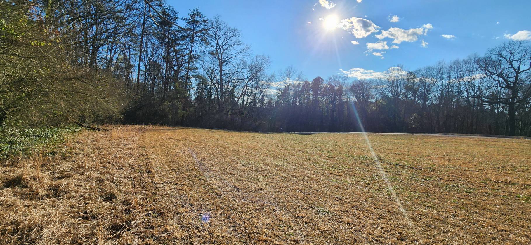Horse Property for sale.