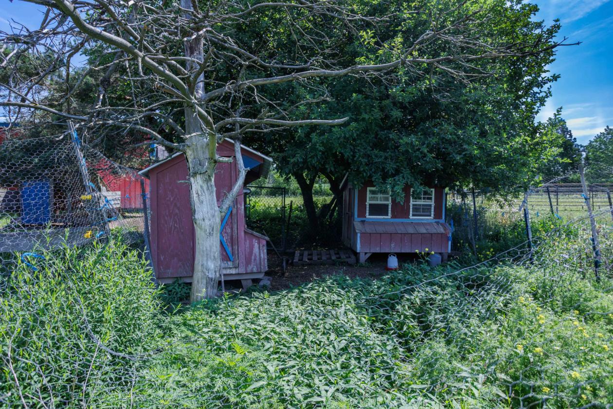 Scenic Horse or Hobby Farm - photo 18