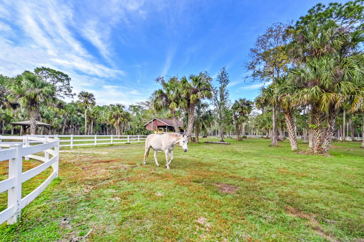 10-Acre Homesite in the Equestrian Community of Sarasota Ranch Club, Sarasota, Manatee County, Florida