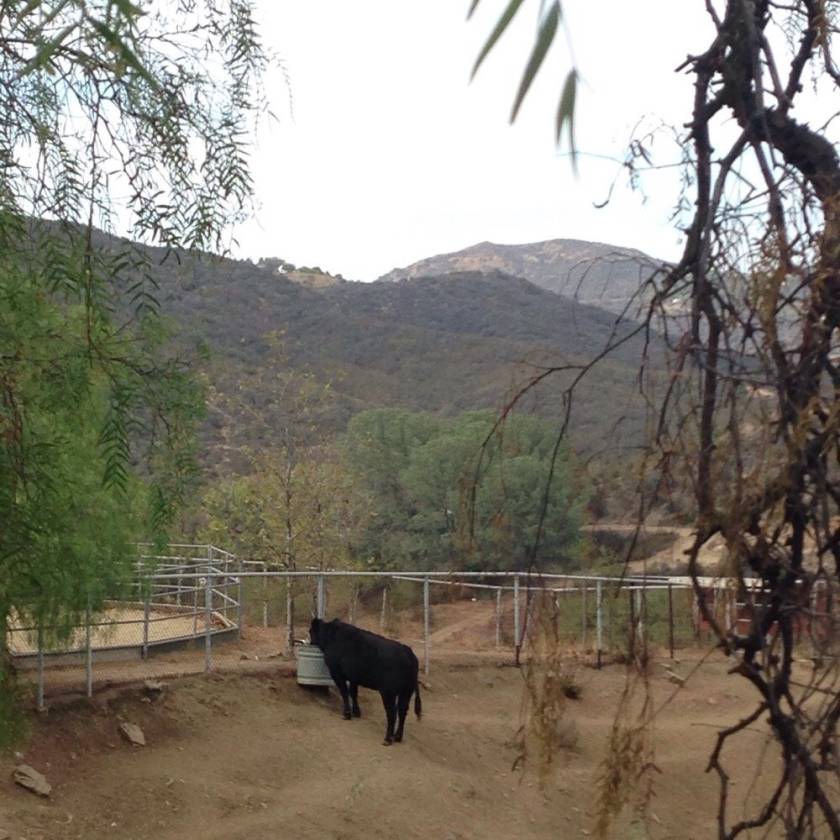 PRIVATE EQUESTRIAN COMPOUND • 82.7 ACRE MALIBU RANCH Malibu, Los