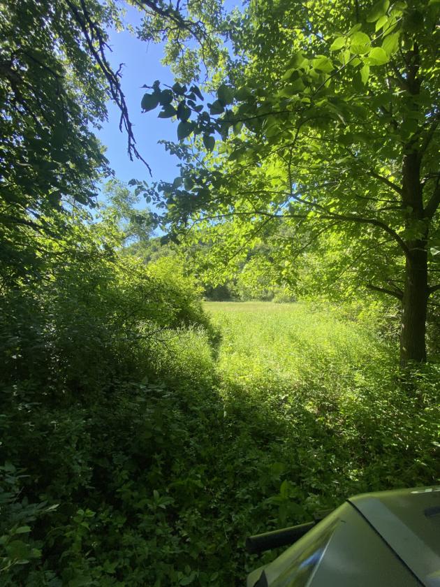 Deep River Farm - photo 24