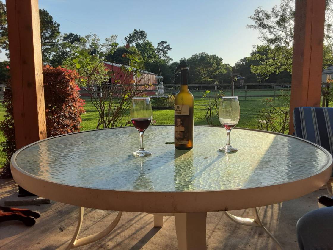 Horse Property for sale.