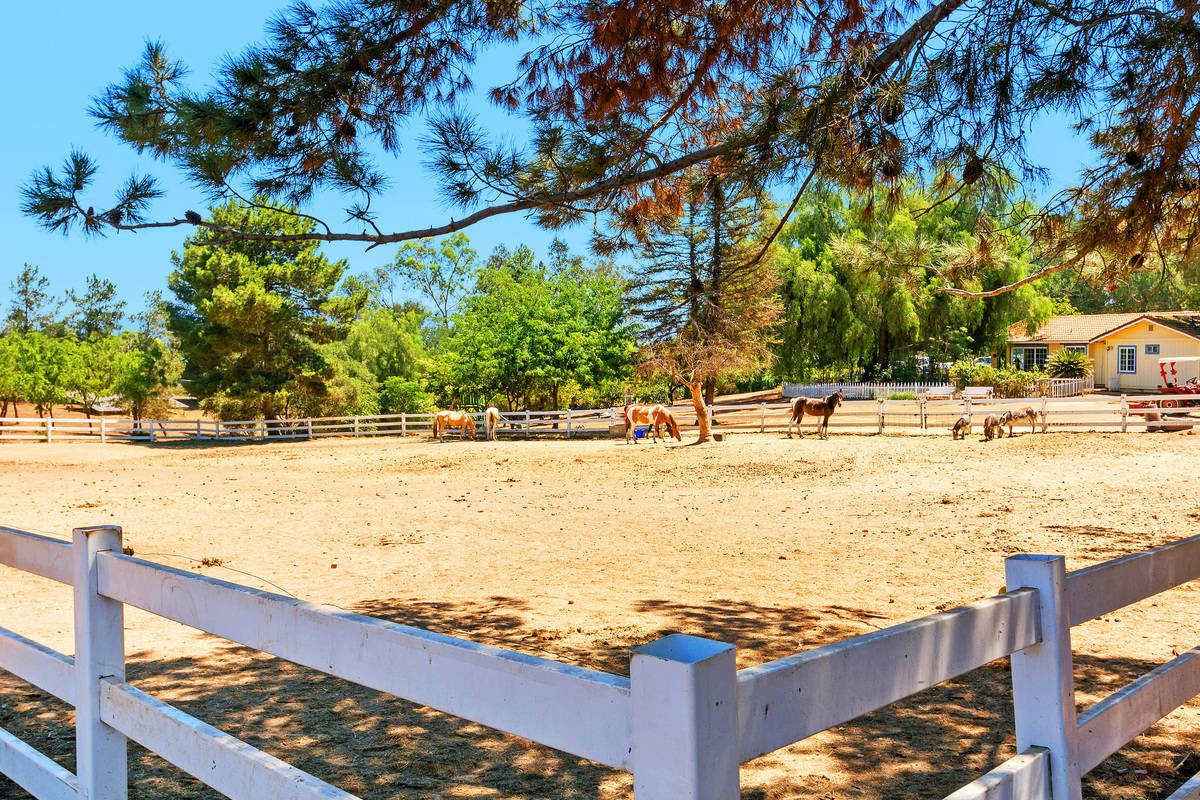Charming Hidden Meadows Horse Property Escondido, San Diego County