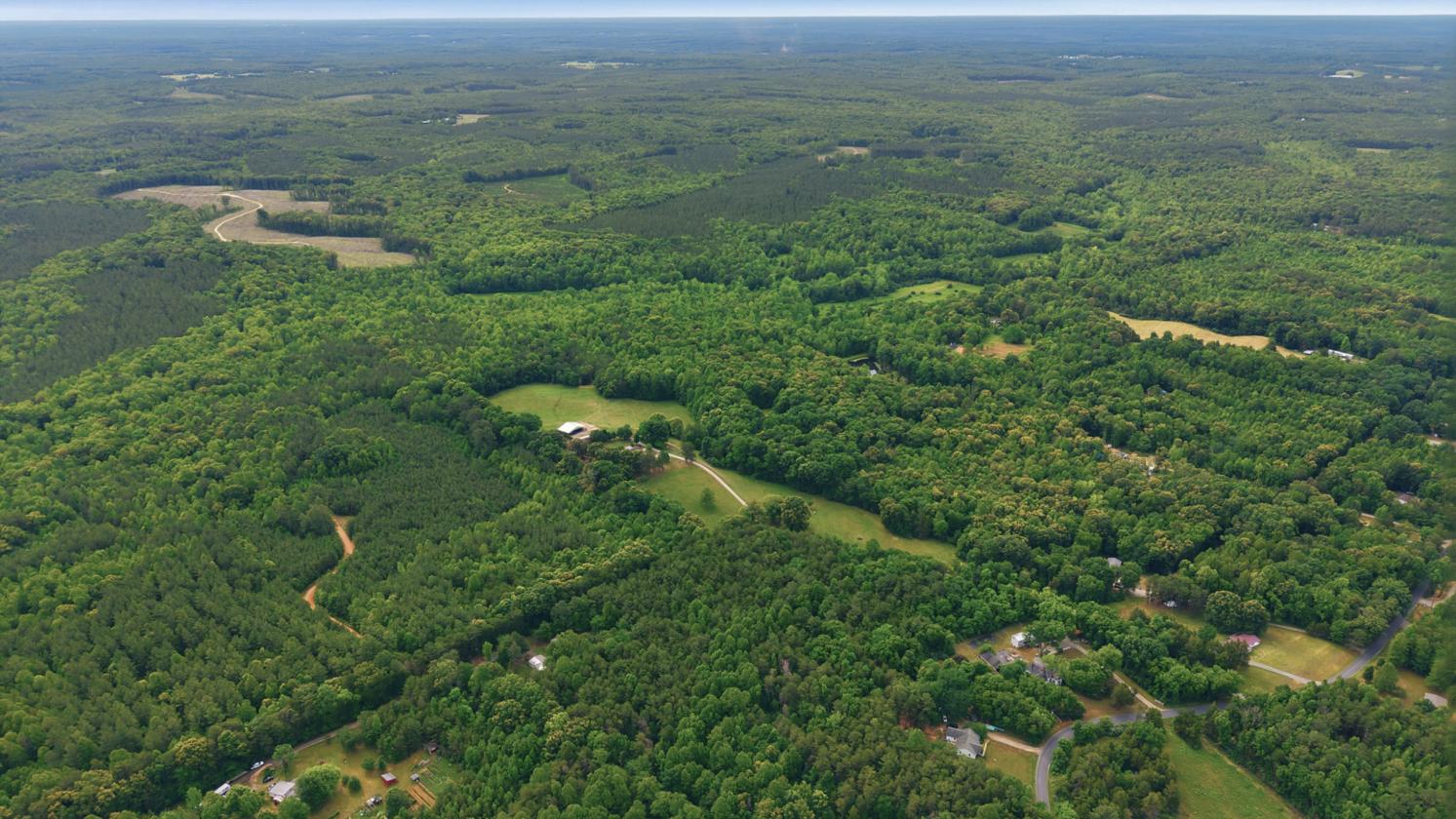 Equestrian Estate Bordering State Forest! - photo 30