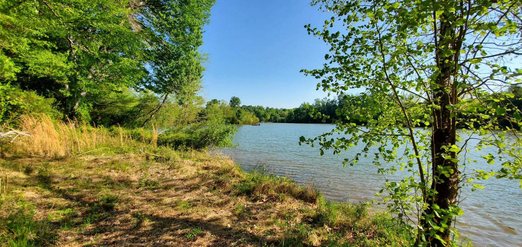 1,060 Self-Sustaining Acres in Alexander County - photo 16