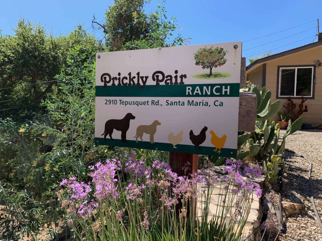 Rustic mountain retreat Tepusquet Canyon California Santa Maria