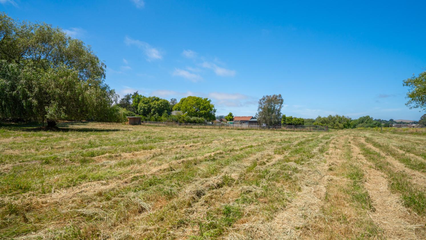 Beautiful 10 Acre Horse Property - photo 27