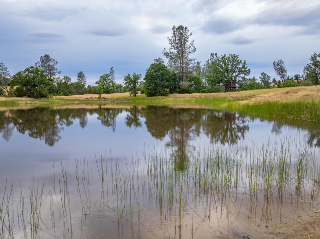 480 Acre Litte Crane Creek Ranch - photo 13