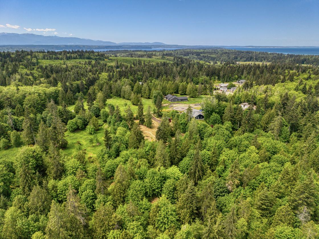 PNW Acreage with trails for Equestrians! - photo 28