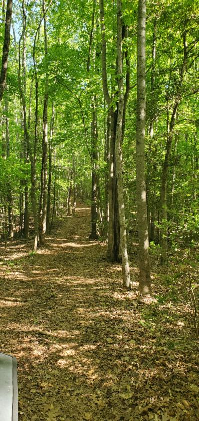 1,060 Self-Sustaining Acres in Alexander County - photo 15