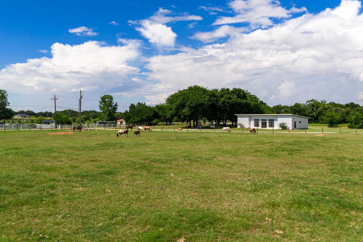 Walnut Creek Horse Ranch - photo 27