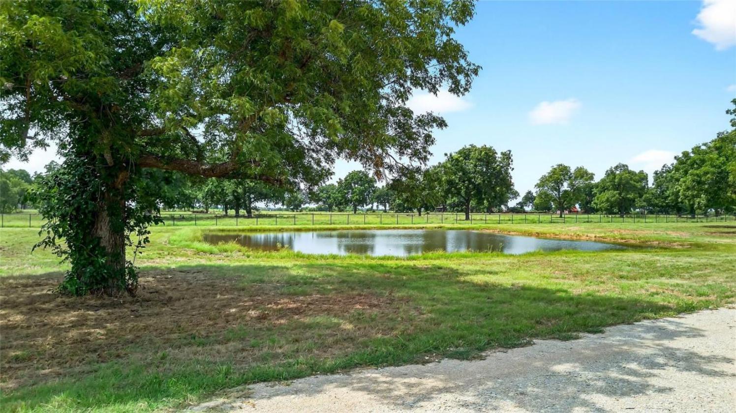 11 Acres of Pecan Trees - photo 10