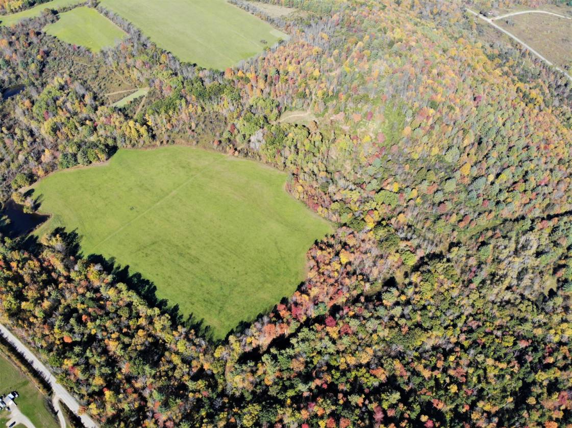 Almost 134 pristine acres, pond, and tons of road frontage! Cameron