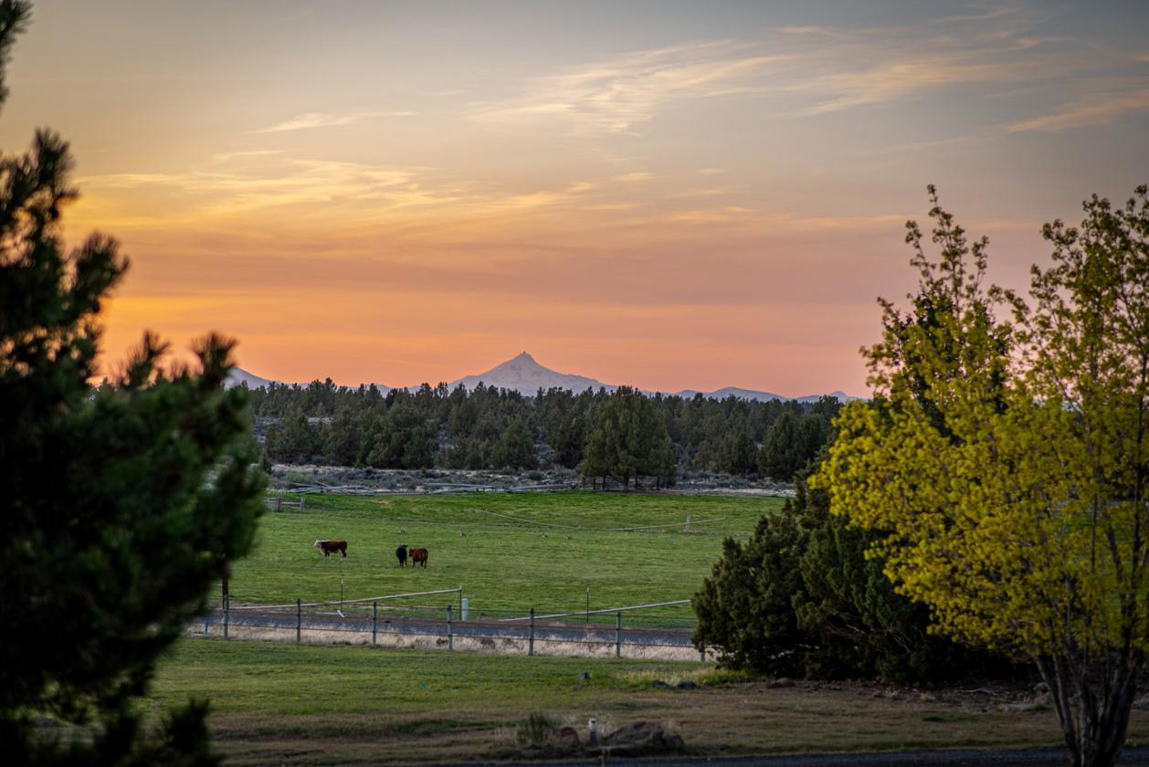 Mountain Modern Retreat with Panoramic Views - photo 26