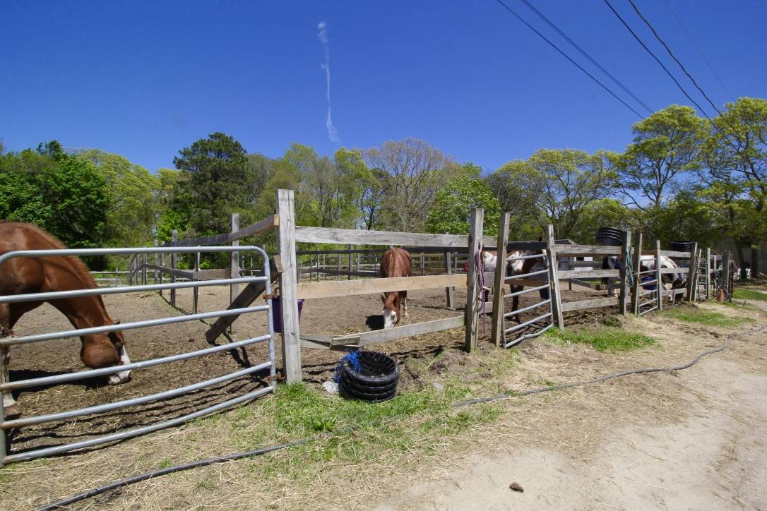 Equestrian Property on Cape Cod Falmouth, Barnstable County, Massachusetts Horse farm