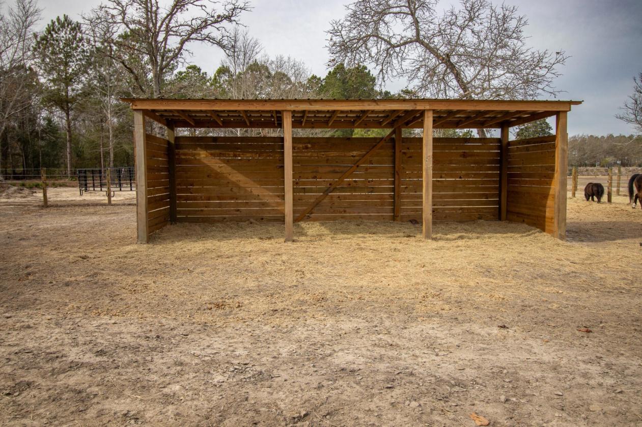 Affordable Horse Farm on 13 acres in Aiken County - photo 14