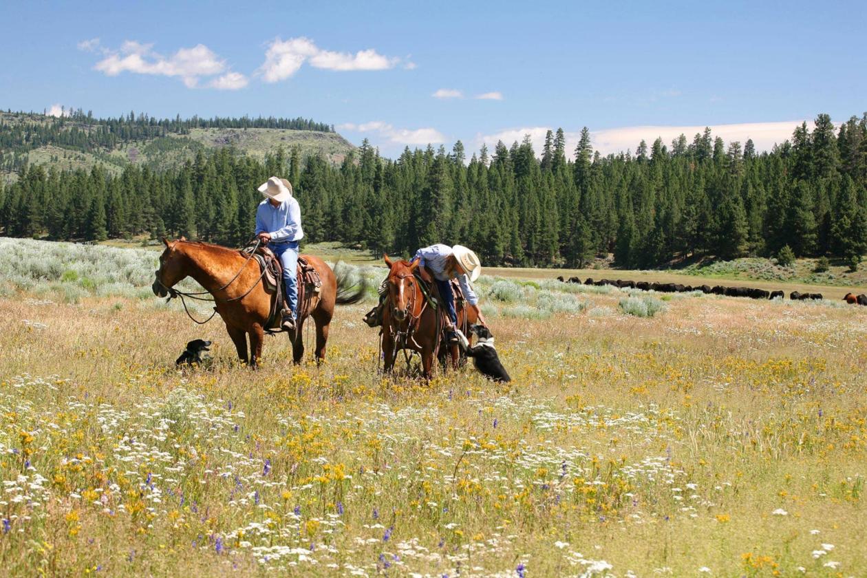 Aspen Ridge Ranch - photo 6