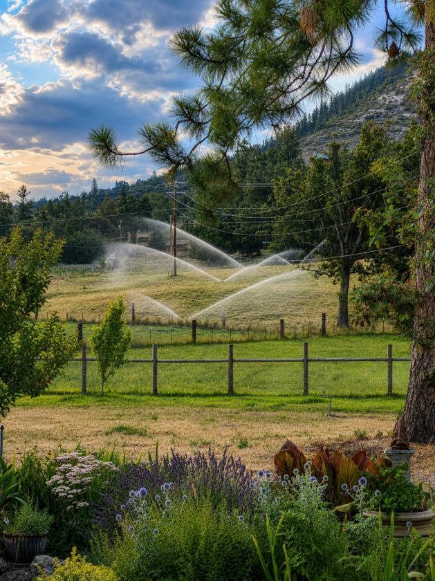 Applegate Riverfront Equestrian Property - photo 4