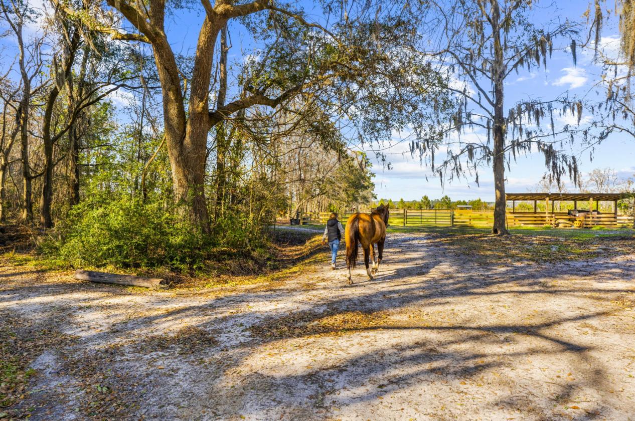 Dream Horse Property on Almost 16 Stunning Acres - photo 8