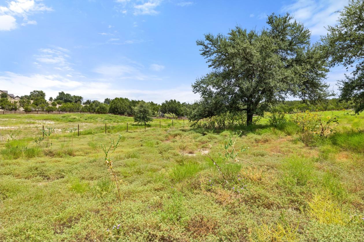 Palomino Ranch - photo 11