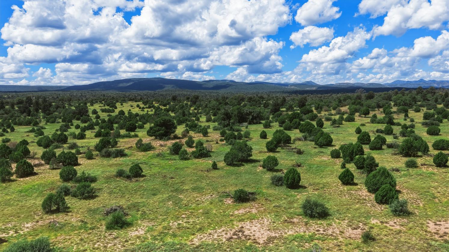 200 Acres in Yavapai County - photo 11