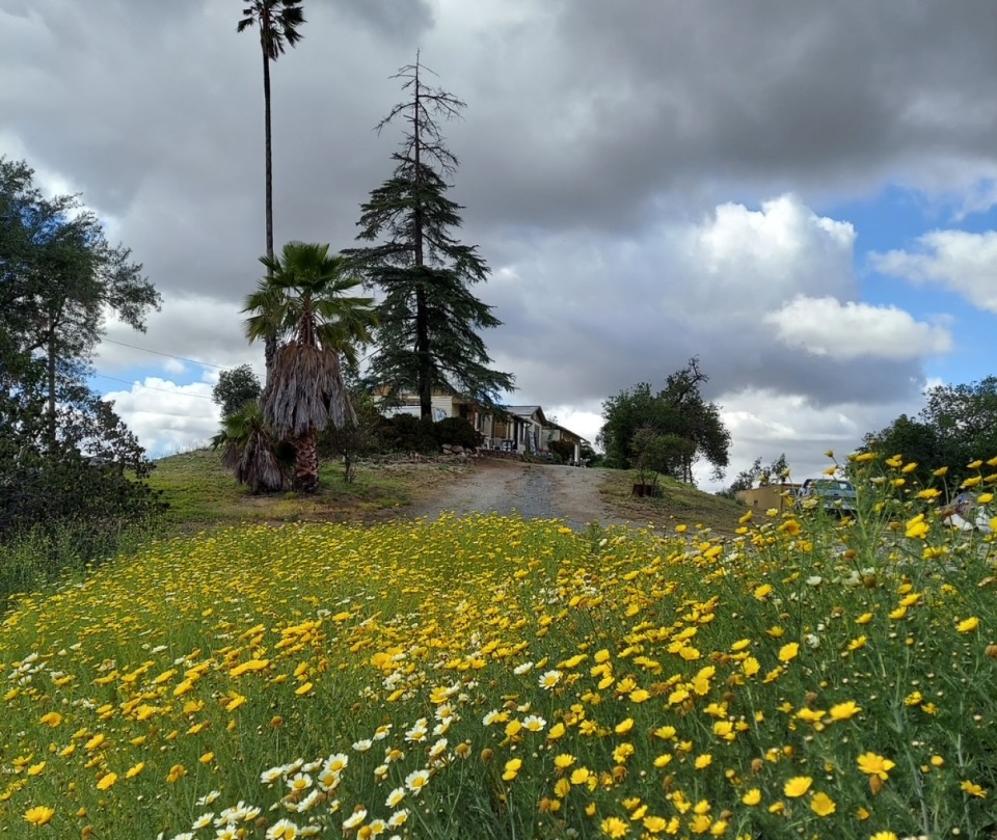 Gorgeous Property in one of Best Cities in America - photo 13