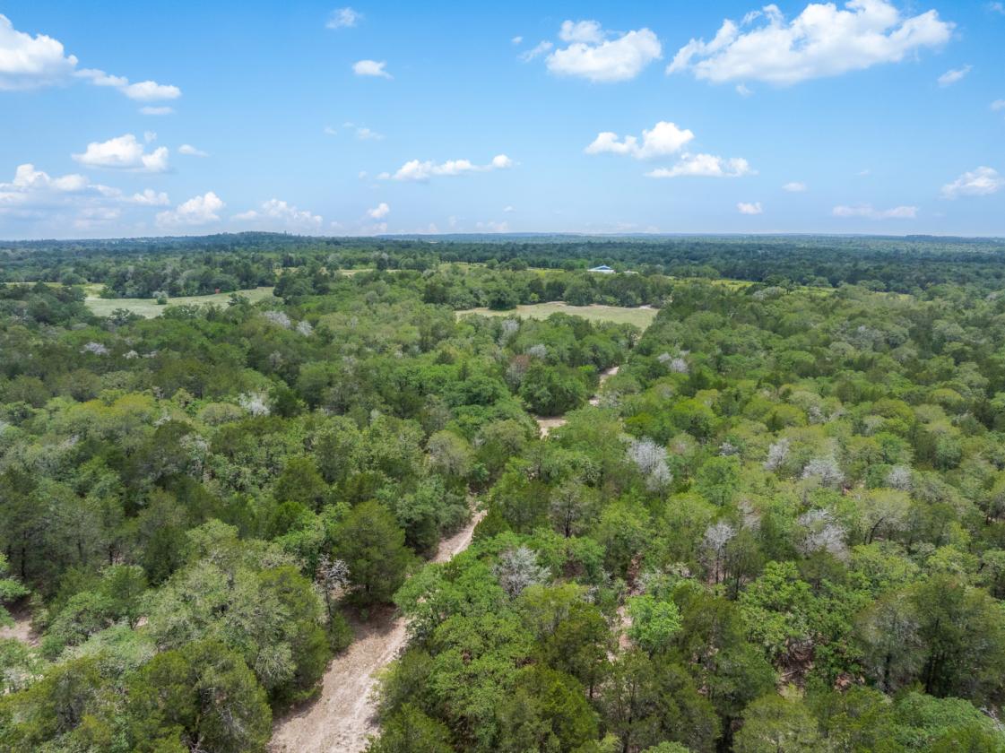 99 Unrestricted acres - photo 15
