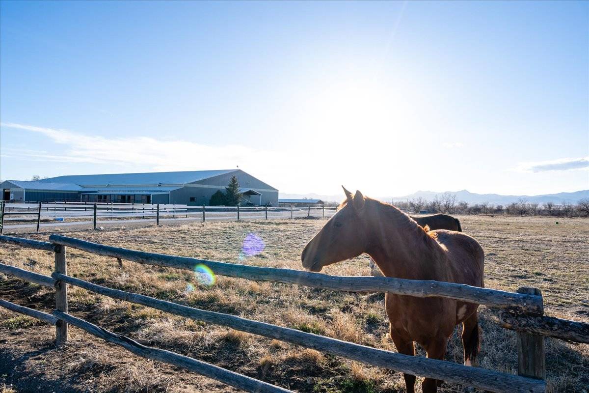 59.3AC, Irrigated Pasture, Indoor Arena, and Home - photo 27