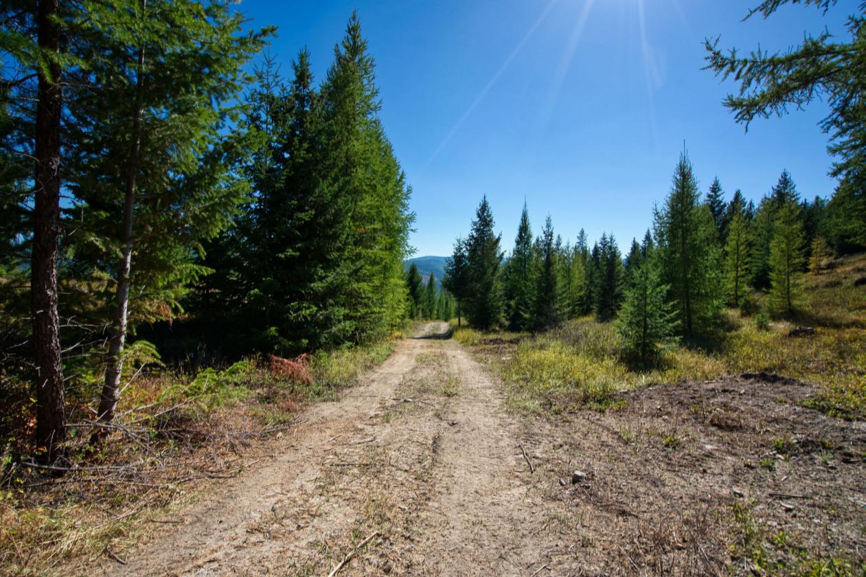 350 Acres & Private Access to MT Forest Service - photo 3