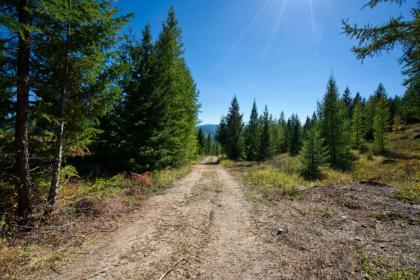 Property image.