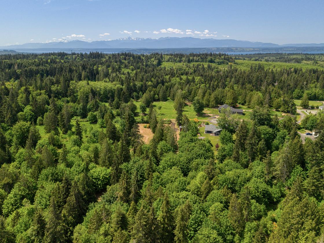 PNW Acreage with trails for Equestrians! - photo 3