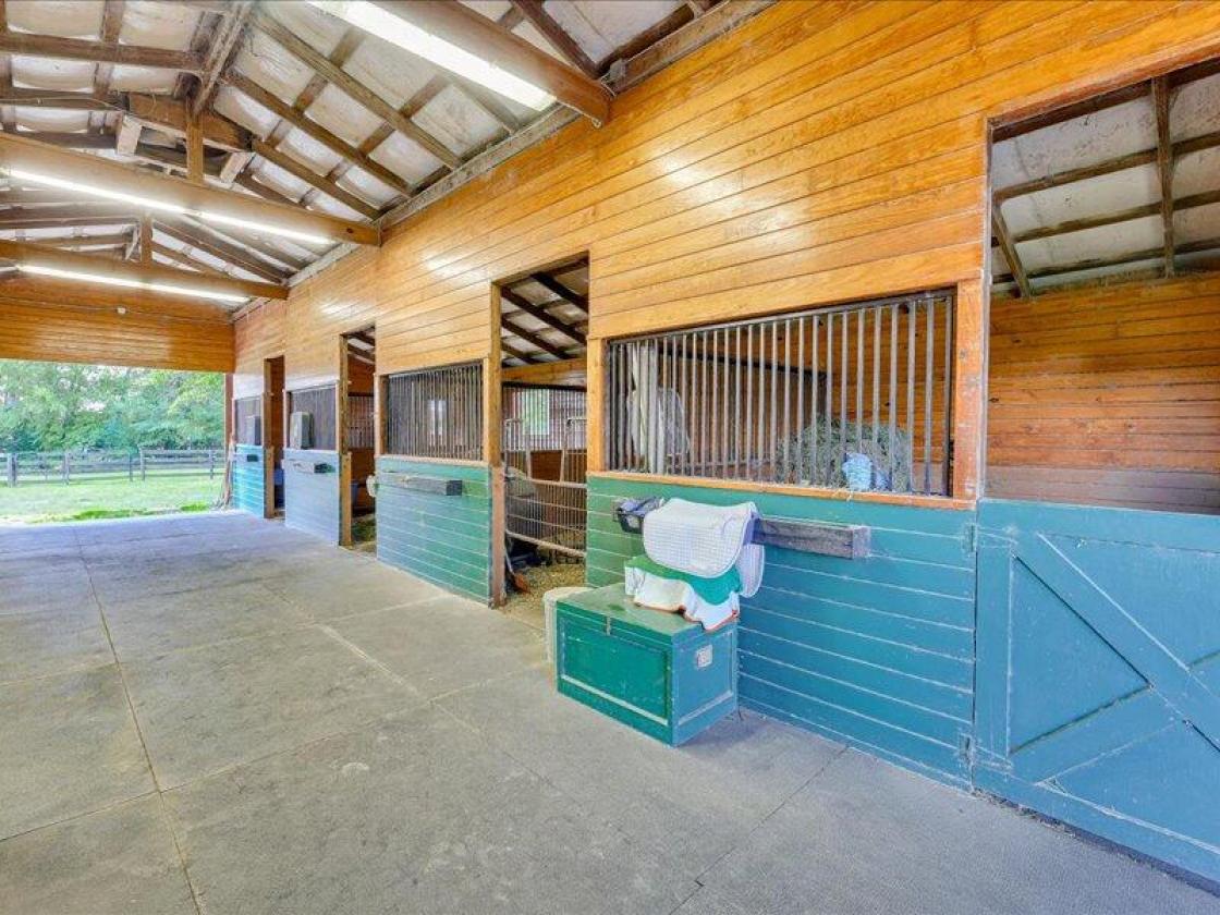 Daisy Hill Farm - Horse Property - photo 19