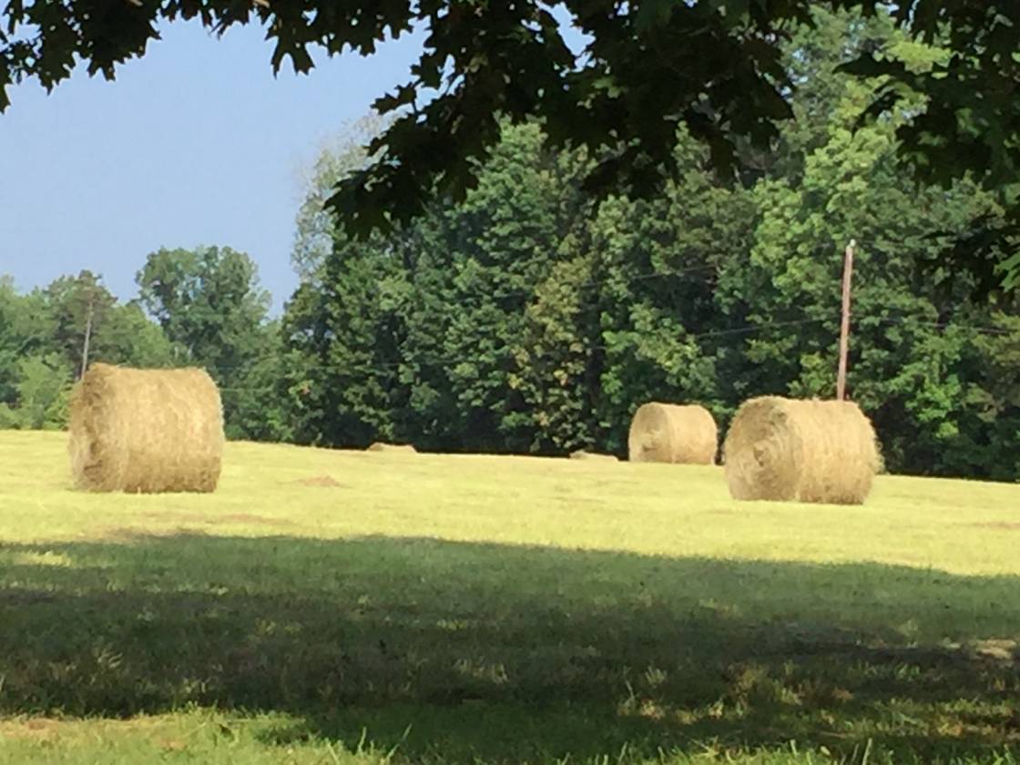 Turn of the Century Farm House and 47 acres. Mount Ulla, Rowan County