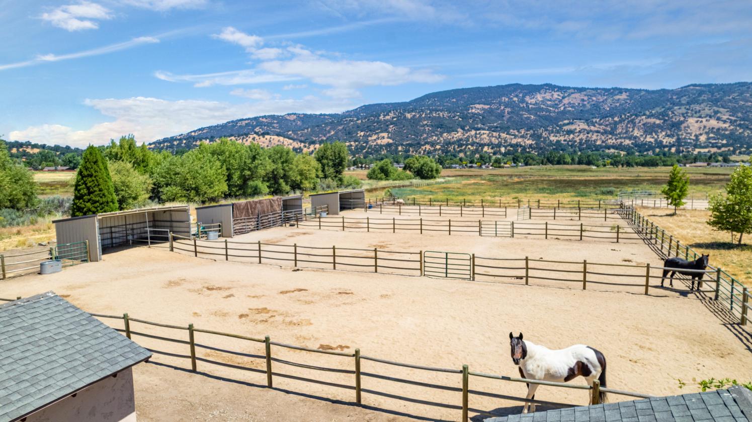 EXCEPTIONAL EQUESTRIAN ESTATE - photo 17