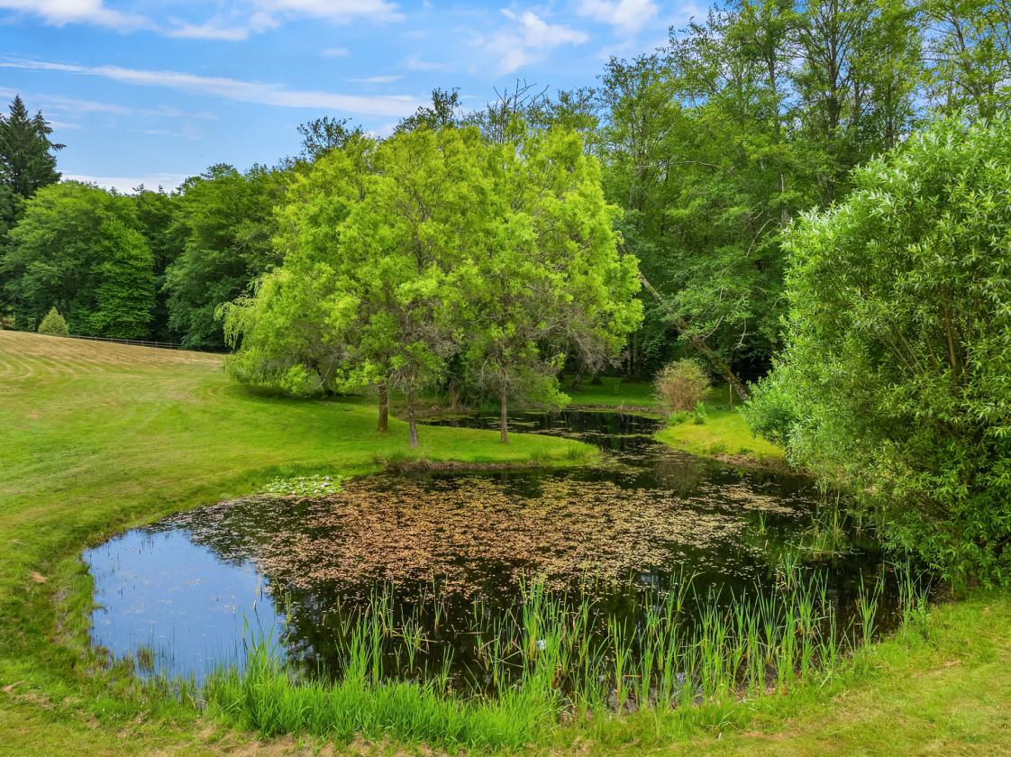 Bainbridge Island Equestrian Estate - photo 30