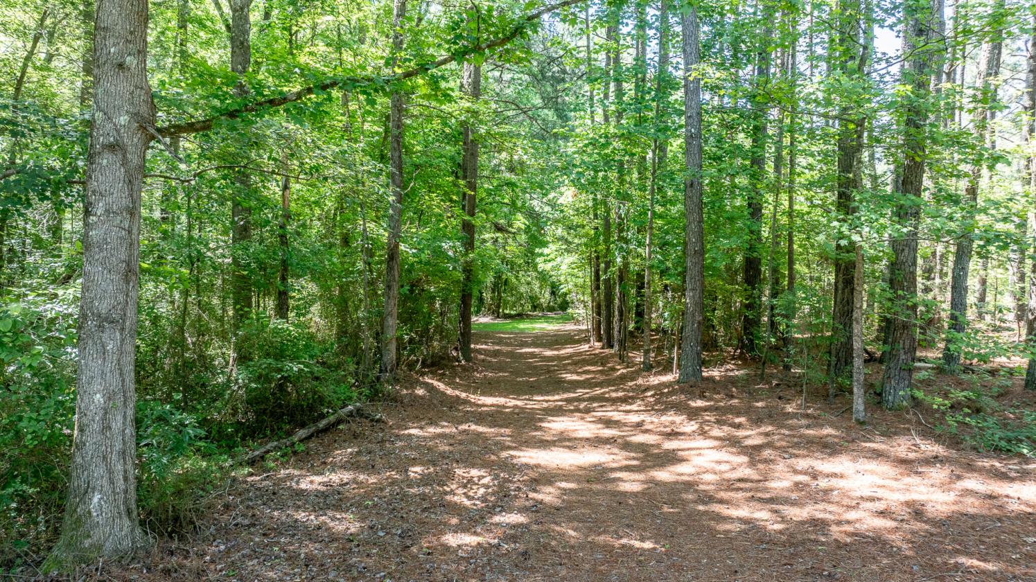 87.84 ACRES WITH FARM HOUSE AND POND - photo 16