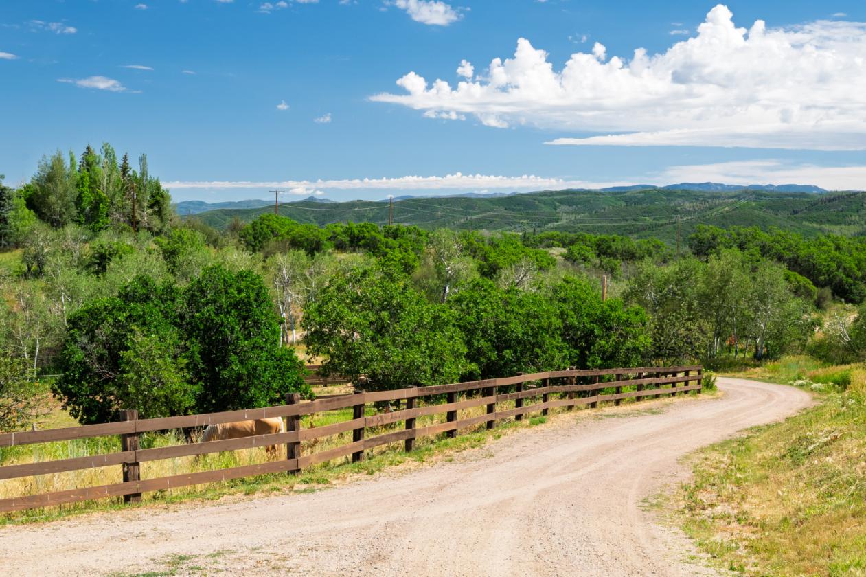 Mountain Rustic Charm Ranch - photo 15