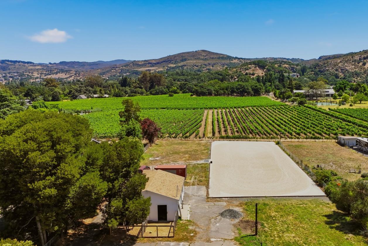 Rare Horse Property with Vineyard Views! - photo 3