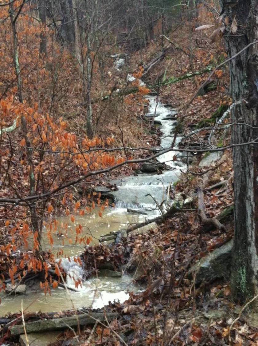 Horse Farm for sale Pleasureville, Henry County, Kentucky