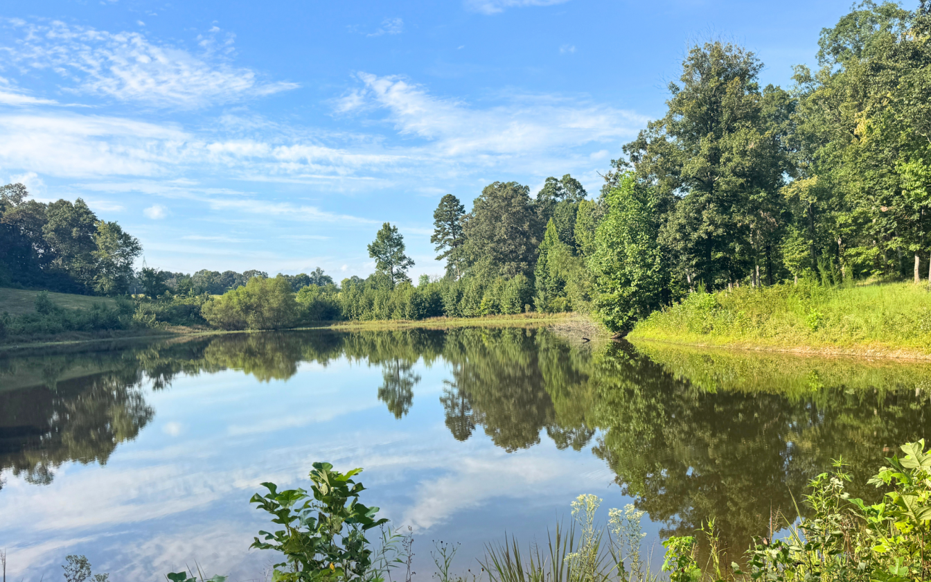 Classic East TN Farm, 2 Ponds, Log Home - photo 8
