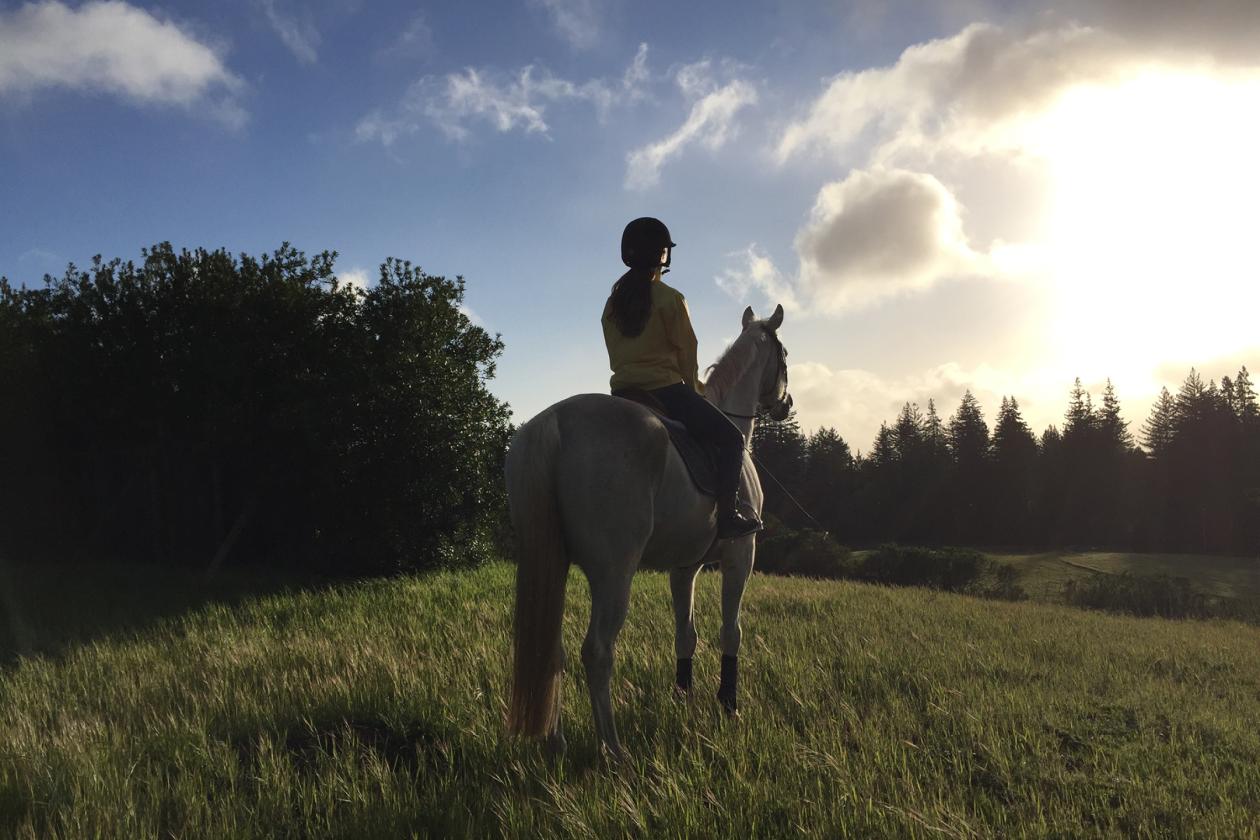 Santa Cruz Equestrian & Vineyard Property - photo 10