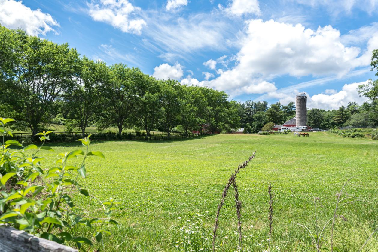 Thriving Equestrian Facility - photo 18
