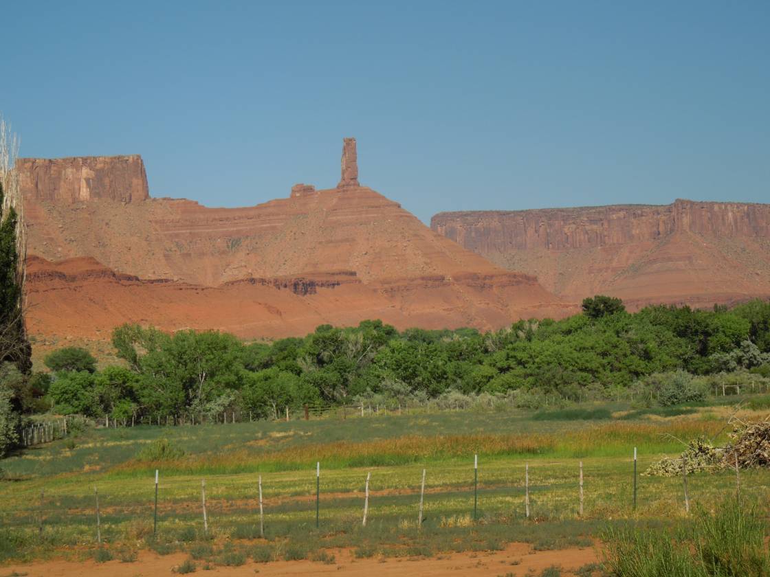 Horse Property for sale.