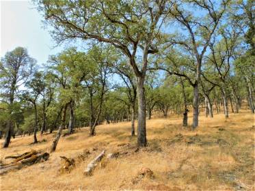 Property image.
