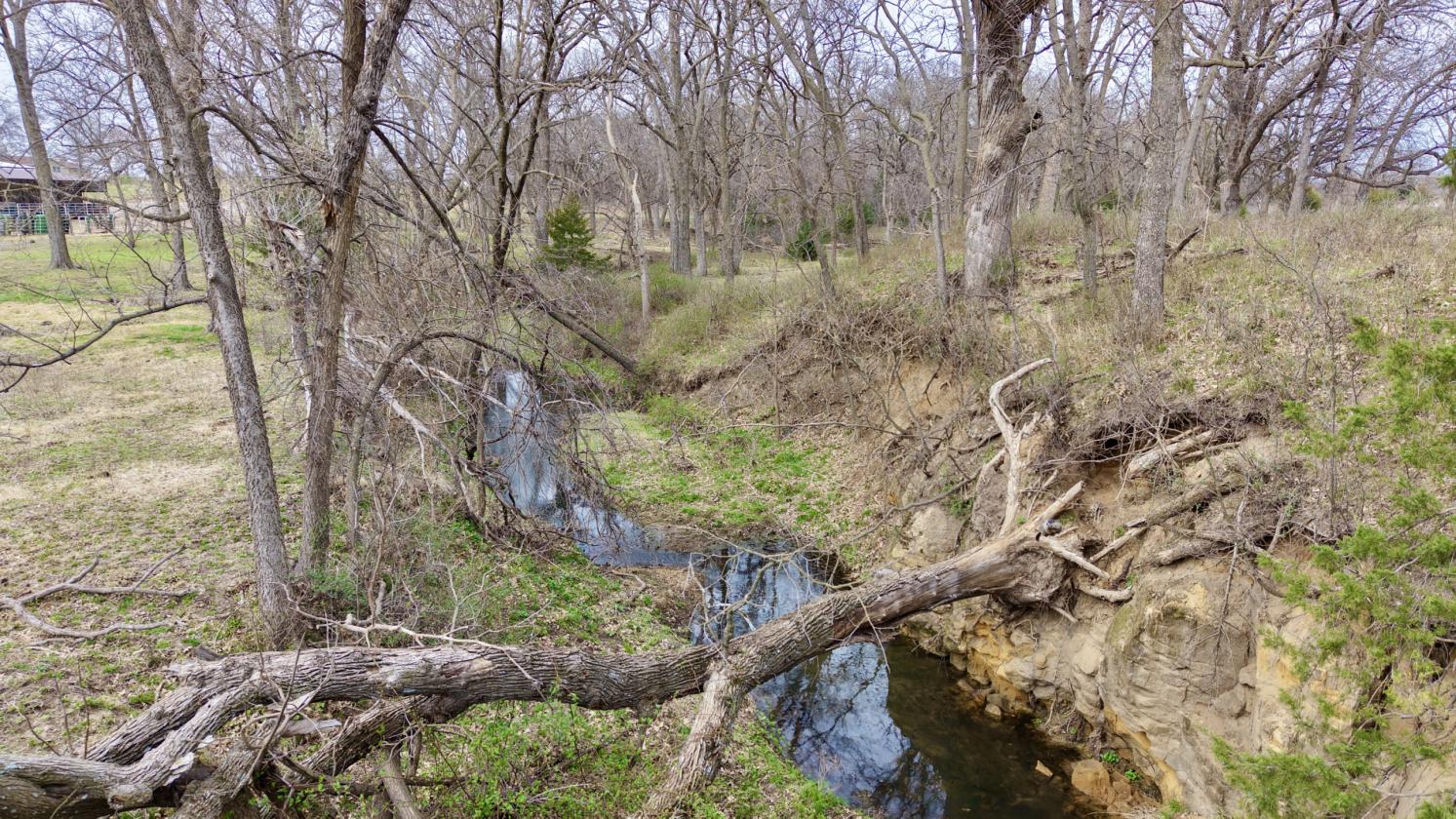 16.1± acre Flint Hills Horse Property - photo 15