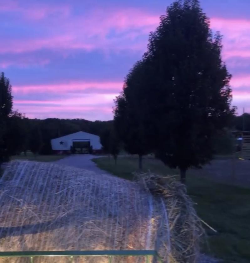Turnkey Farm Between Chesapeake and NC Outer Banks - photo 5