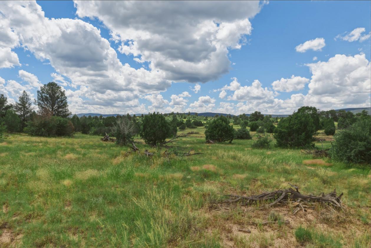 200 Acres in Yavapai County - photo 20