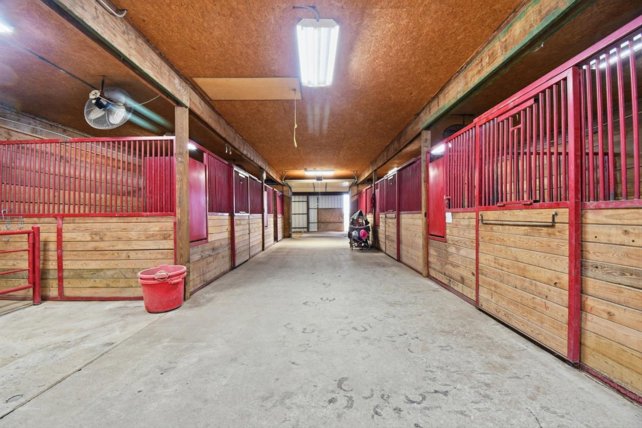 Equestrian Dream with Deluxe Horse Setup - photo 16